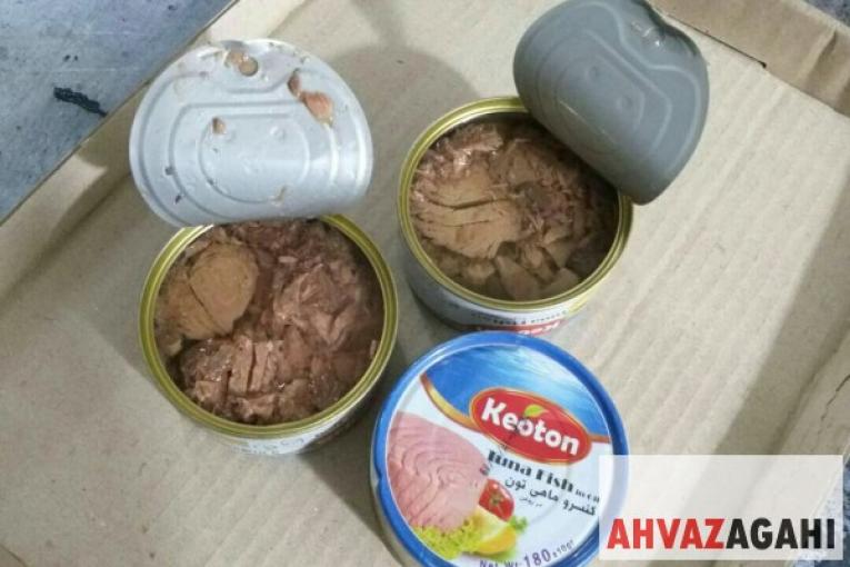 انواع تن ماهی