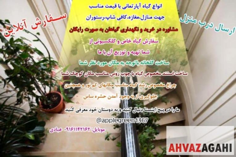 ارزانسرای گل و گیاه اهواز (HomePlant)