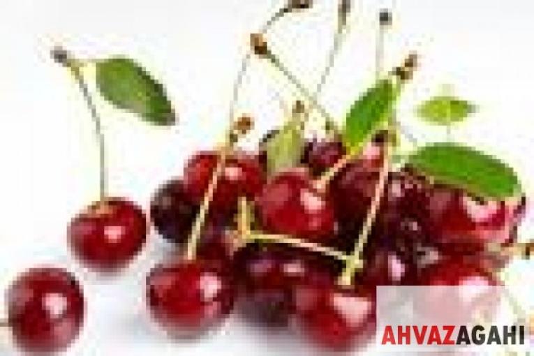 فروش کنسانتره آلبالو